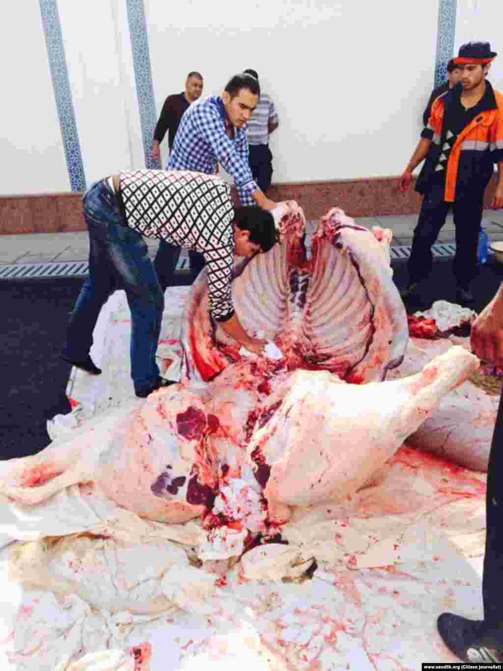 Омодагиҳо ба иди Қурбон дар масҷиди "Минор"