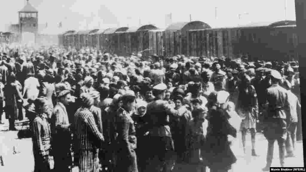   Аушвиц-Биркенау (Освенцим)