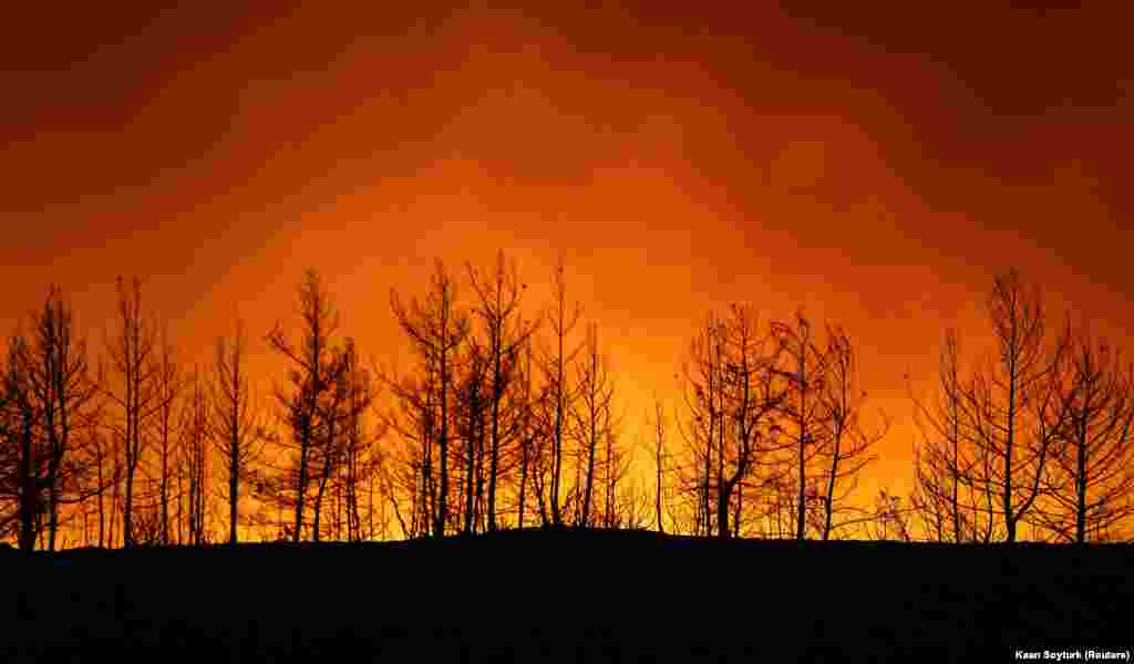 За останніми даними, щонайменше три людини загинули, понад 100 поранені внаслідок пожеж у Туреччині