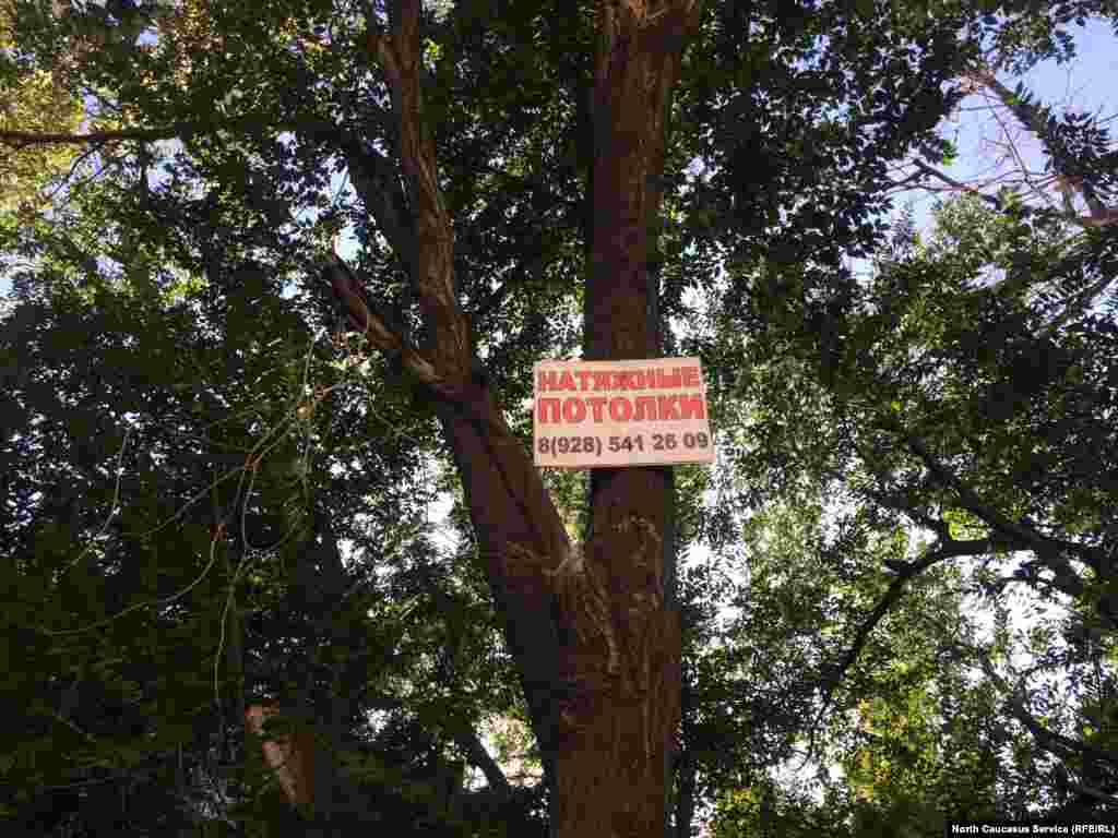 Пресс-служба мэрии: «Мэр города дал указания не только по устранению самой несанкционированной рекламы, но и по привлечению лиц, использующих такой незаконный способ маркетинга к ответственности. Кстати, есть ли такие факты по размещению рекламы на деревьях? Просим сообщать. Реагирование будет незамедлительно и обязательно».