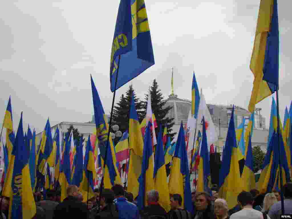 Учасники мітингу тримають у руках прапори із символікою Блоку Юлії Тимошенко, партій «Всеукраїнське об’єднання «Свобода», «Народний рух України», а також національні та прапори інших організацій.