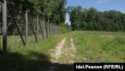 Лес уже успели обнести забором