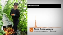 «Ми робимо великий внесок в українську економіку» – сезонна працівниця у Фінляндії «Ми робимо великий внесок в українську економіку» – сезонна працівниця у Фінляндії