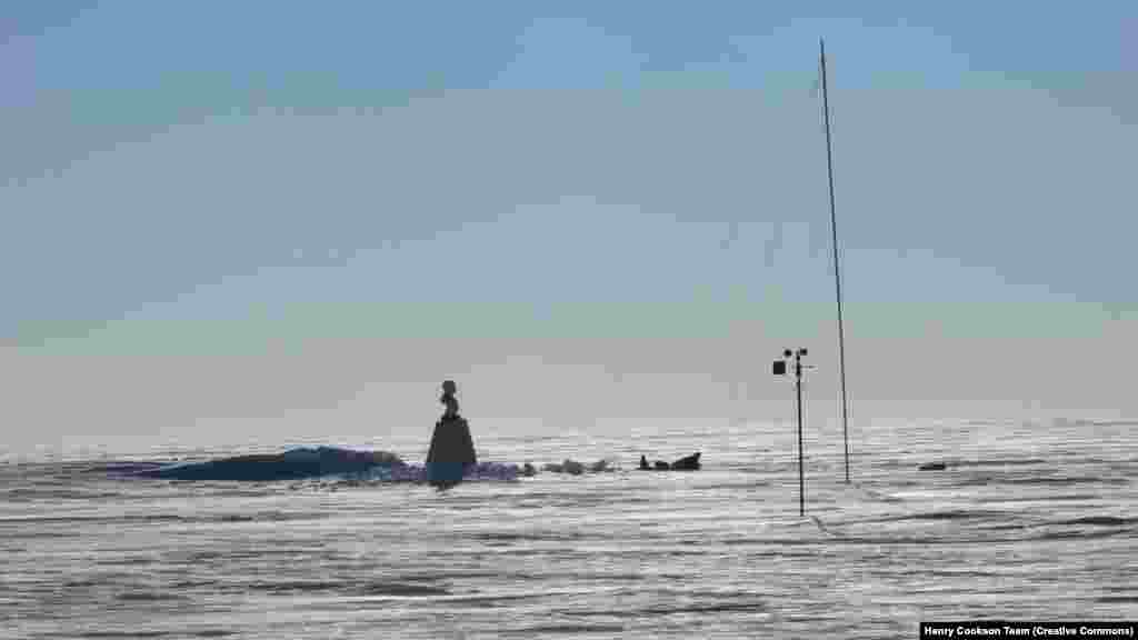 Команда «N2i» британских и канадских исследователей достигла «Полюса недоступности» 19 января 2007 года. Они добрались до этого места через ветряные и ледяные равнины континента с помощью воздушных змеев. Станция в то время оказалась похоронена под снегом. Но не Ленин