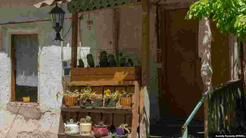 Комнатные цветы «загорают» на крыльце