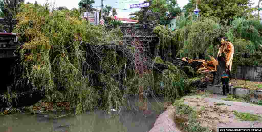Доставать из реки это дерево будет проблематично  