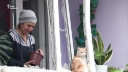 Обстріляне з установки «Град» Новолуганське: люди оговтуються і розбирають завали (відео) Обстріляне з установки «Град» Новолуганське: люди оговтуються і розбирають завали (відео)