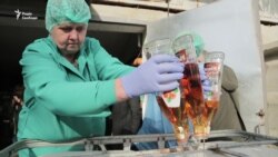 На Львівщині утилізовують 37 тисяч пляшок підробленого алкоголю – відео На Львівщині утилізовують 37 тисяч пляшок підробленого алкоголю – відео