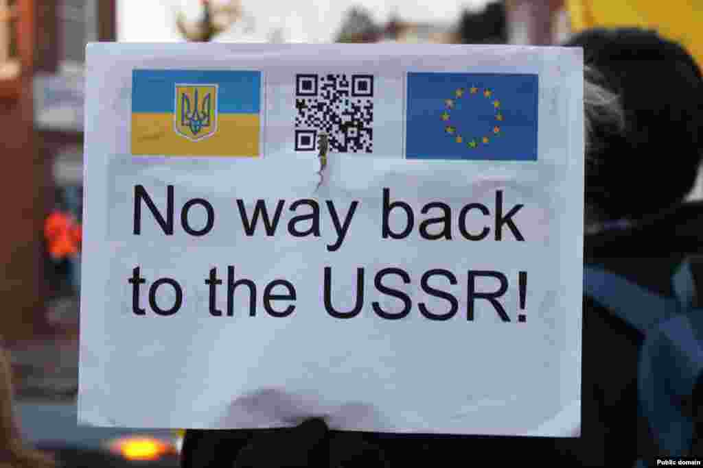 Євромайдан у Вашингтоні (США) (фото Facebook Myroslava Gongadze)