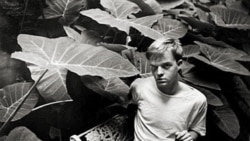 Американские писатели в СССР. Трумен Капоте Американские писатели в СССР. Трумен Капоте