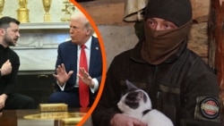 Реакція військових на суперечку Трампа і Зеленського у Білому домі Реакція військових на суперечку Трампа і Зеленського у Білому домі