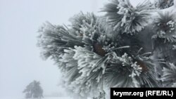 Иллюстрационное фото