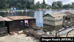 Stotine mrtvih riba u Čukaričkom rukavcu, 11. jul 2025.