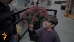 Наследие "Сэнди" Наследие "Сэнди"