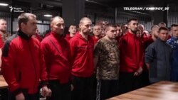 Новые заявления Кадырова  Новые заявления Кадырова