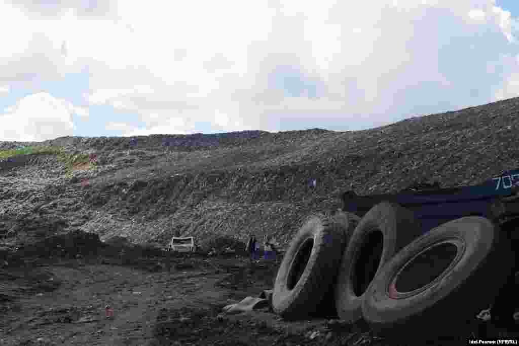 В 2018 году будет реализовываться биологический этап с посадкой газонной травы, кустарников и деревьев (деревья – у подножия свалки).  