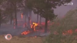 د جنورۍ۲۳مې ویډیويي خبرونه د جنورۍ۲۳مې ویډیويي خبرونه