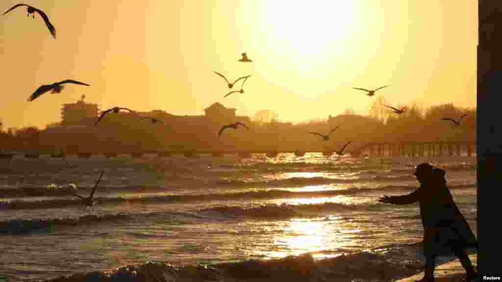 Кто-то – чтобы покормить ненасытных чаек