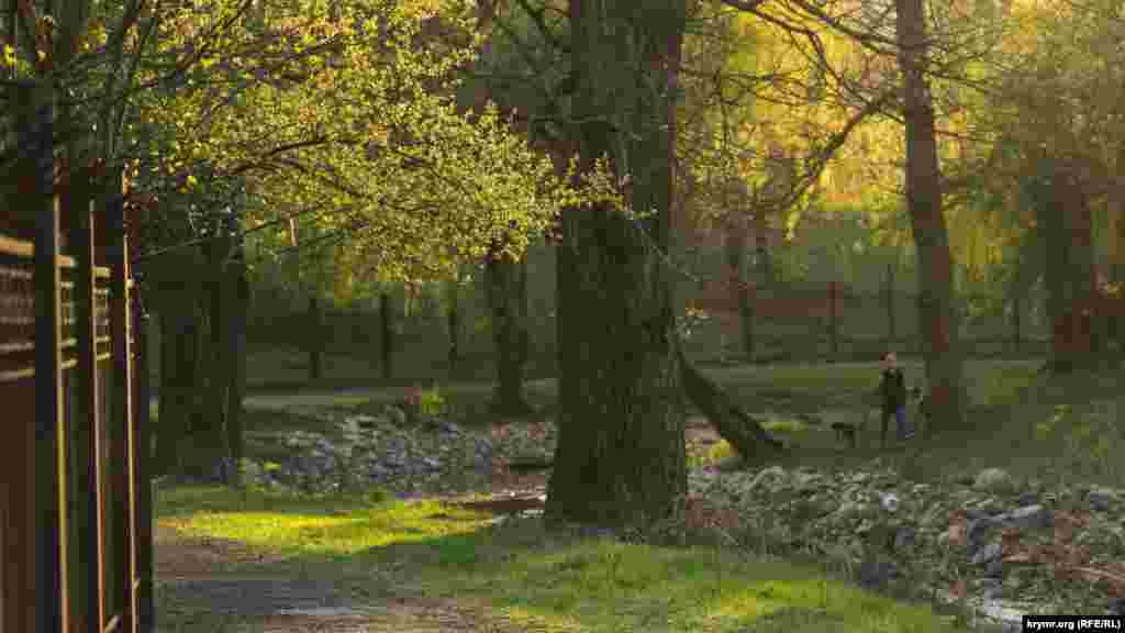 В связи с карантином, все входы в ботсад «КФУ» (Таврического национального университета) на левом берегу Салгира закрыты на замок или затянуты колючей проволокой.  По вечерам вдоль берега Салгира прогуливаются молодые семьи с детьми или выгуливают домашних животных