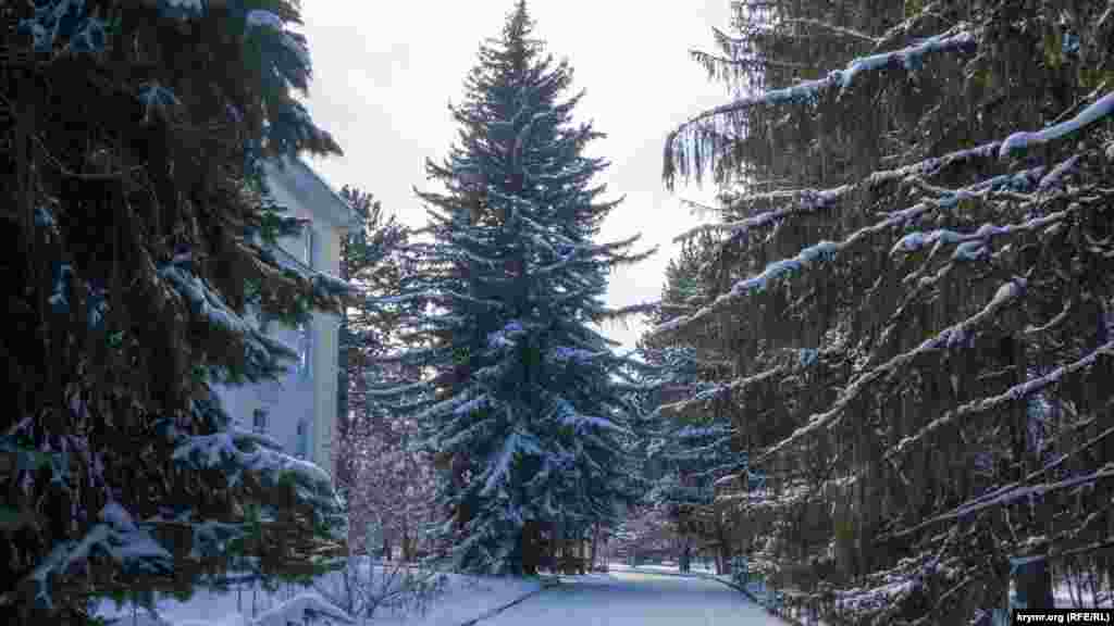 У главного здания КрАО 