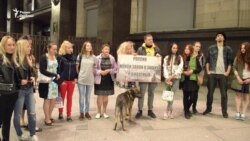 Защитники животных пикетируют Госдуму Защитники животных пикетируют Госдуму