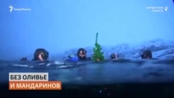 Дайверы установили новогоднюю ёлку в Баренцевом море Дайверы установили новогоднюю ёлку в Баренцевом море