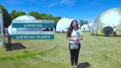 О коррупции | Видеоуроки «Elifbe» (видео) О коррупции | Видеоуроки «Elifbe» (видео)