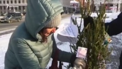 Вкладчики Татфондбанка и Интехбанка нарядили ёлку напротив Кабмина Татарстана Вкладчики Татфондбанка и Интехбанка нарядили ёлку напротив Кабмина Татарстана