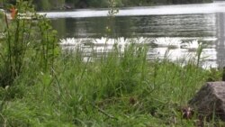 У Запоріжжі землю перетворюють на витвір мистецтва (відео) У Запоріжжі землю перетворюють на витвір мистецтва (відео)