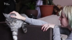 Боротьба у повсякденності: життя Яни Зінкевич через 2 роки після аварії (відео) Боротьба у повсякденності: життя Яни Зінкевич через 2 роки після аварії (відео)