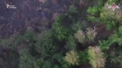 Расстрел пленных ВСУ в Курской области  Расстрел пленных ВСУ в Курской области