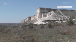 В самоизоляции с хищником: семья из Белогорска приютила волчонка (видео) В самоизоляции с хищником: семья из Белогорска приютила волчонка (видео)