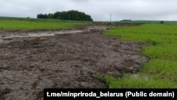 Фота расьцёкаў гною апублікавала Міністэрства прыроды Беларусі