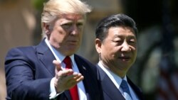 Вход к дракону Вход к дракону