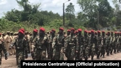 Батальйон урядової армії ЦАР, підготовлений за допомогою російських інструкторів