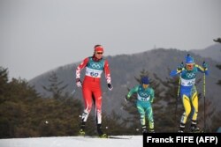 Марина Анцибор