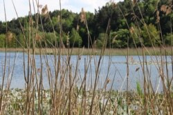 Став, через який йтиме дорога