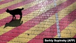 Зокрема, 6 березня середньодобова температура повітря виявилась найвищою за час проведення спостережень для цієї дати і склала 11,9