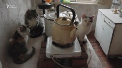 "Счастье — это душ, туалет и кухня с окошком" "Счастье — это душ, туалет и кухня с окошком"