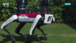 "Не гладить". Резиденцию Трампа начали охранять роботы-собаки "Не гладить". Резиденцию Трампа начали охранять роботы-собаки