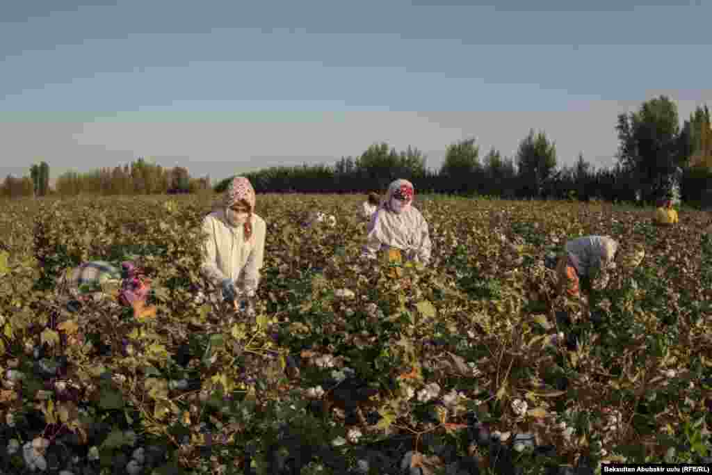 Лица женщин завернуты платками, потому что вокруг много пыли. На руках обязательно должны быть перчатки 