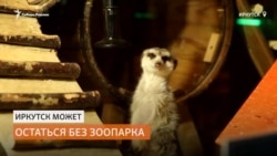 Власти выгоняют частный зоопарк для строительства мемориала и часовни Власти выгоняют частный зоопарк для строительства мемориала и часовни