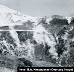 Долина гейзеров