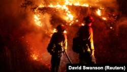 Нестримні пожежі у Каліфорнії. Пожежники героїчно намагаються зупинити вогонь. Але вітер не дає цього зробити. Горять віковічні праліси і вогонь сягає неба. США, Вересень, 2021 рік