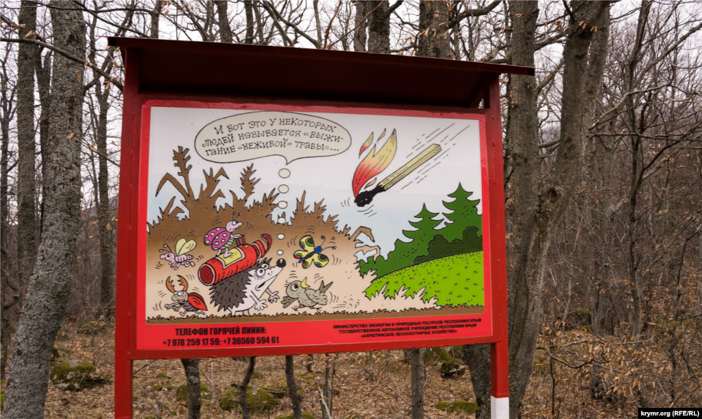 Местами встречается противопожарный «креатив» алуштинских лесников