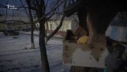 Добратися в Кримське – село на лінії розмежування – не просто Добратися в Кримське – село на лінії розмежування – не просто