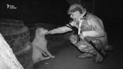 Донецький напрямок: в околицях чути ствольну артилерію (відео) Донецький напрямок: в околицях чути ствольну артилерію (відео)