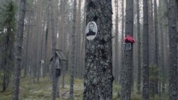 Дочь Дмитриева едет в Сандармох Дочь Дмитриева едет в Сандармох