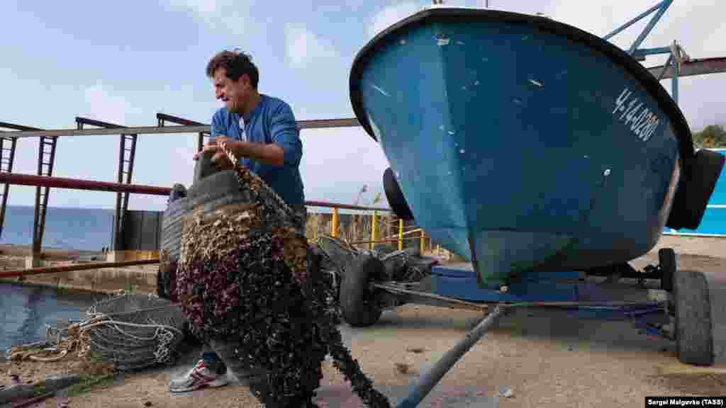 Устричная ферма «Яхонт» в Кацивели – на ней уже более десяти лет занимаются выращиванием черноморских устриц и мидий