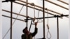 Iran: Amnesty Urges Halt To 2nd Hanging